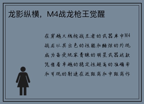 龙影纵横,M4战龙枪王觉醒